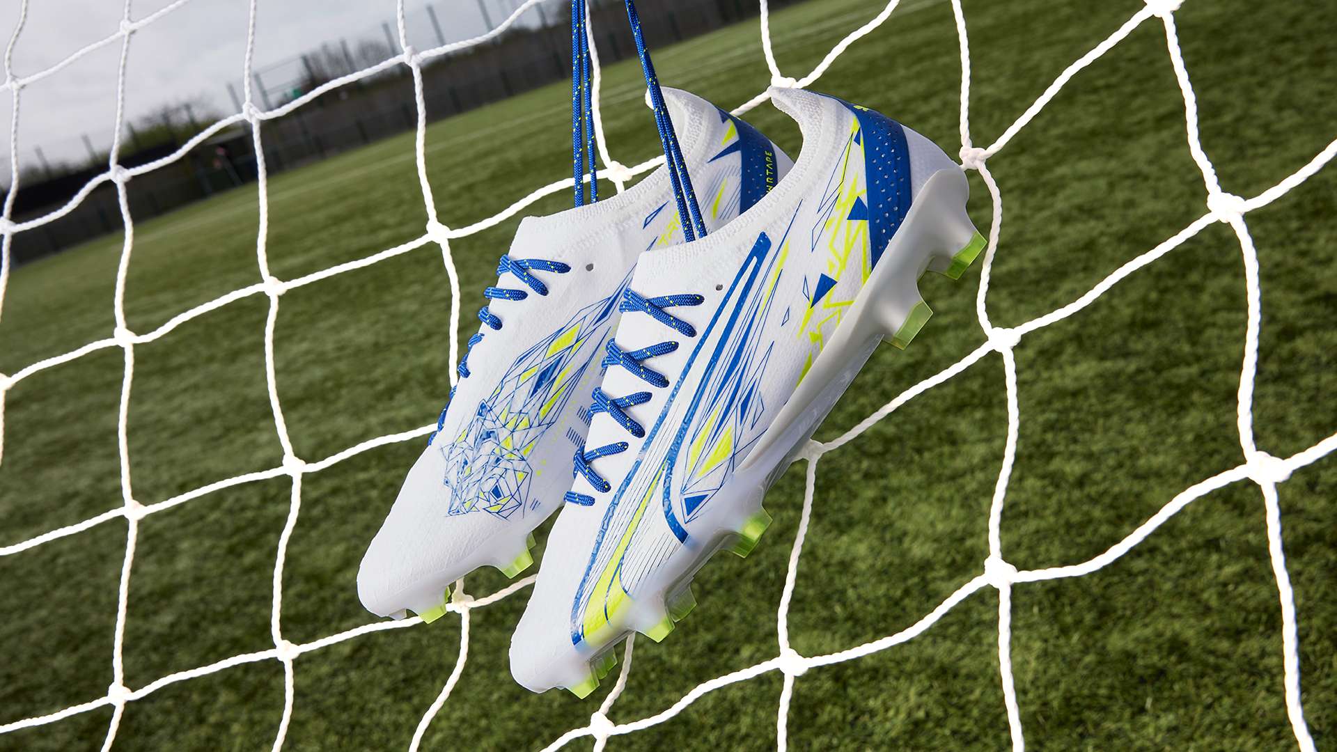 这一举动不 这一举动不