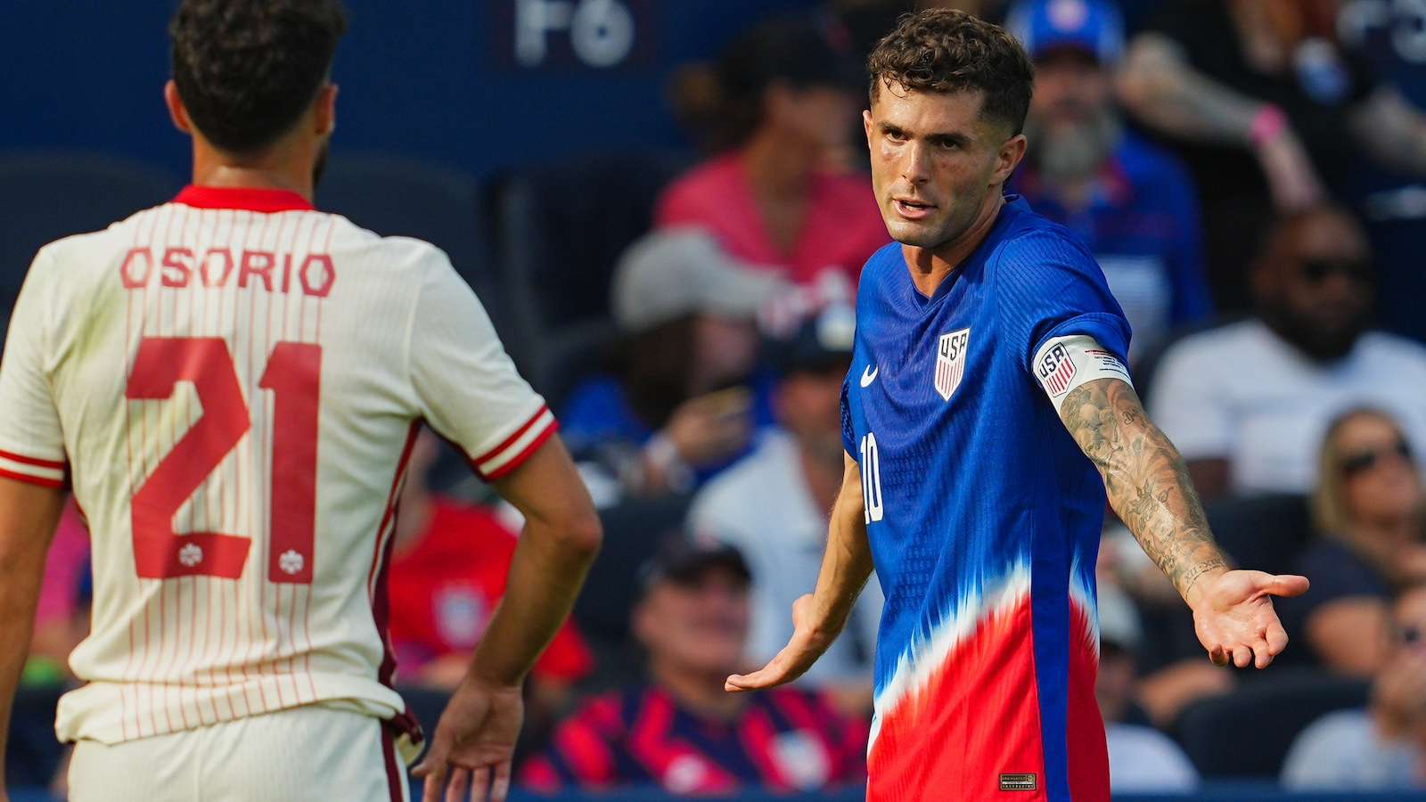 的杰出代表 的杰出代表